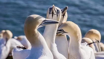 开云官网-英超冲刺季：悬念持续升温，魅力无限！，英超集锦2021