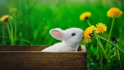 开云官网-英超冲刺季：悬念持续升温，魅力无限！，英超集锦2021