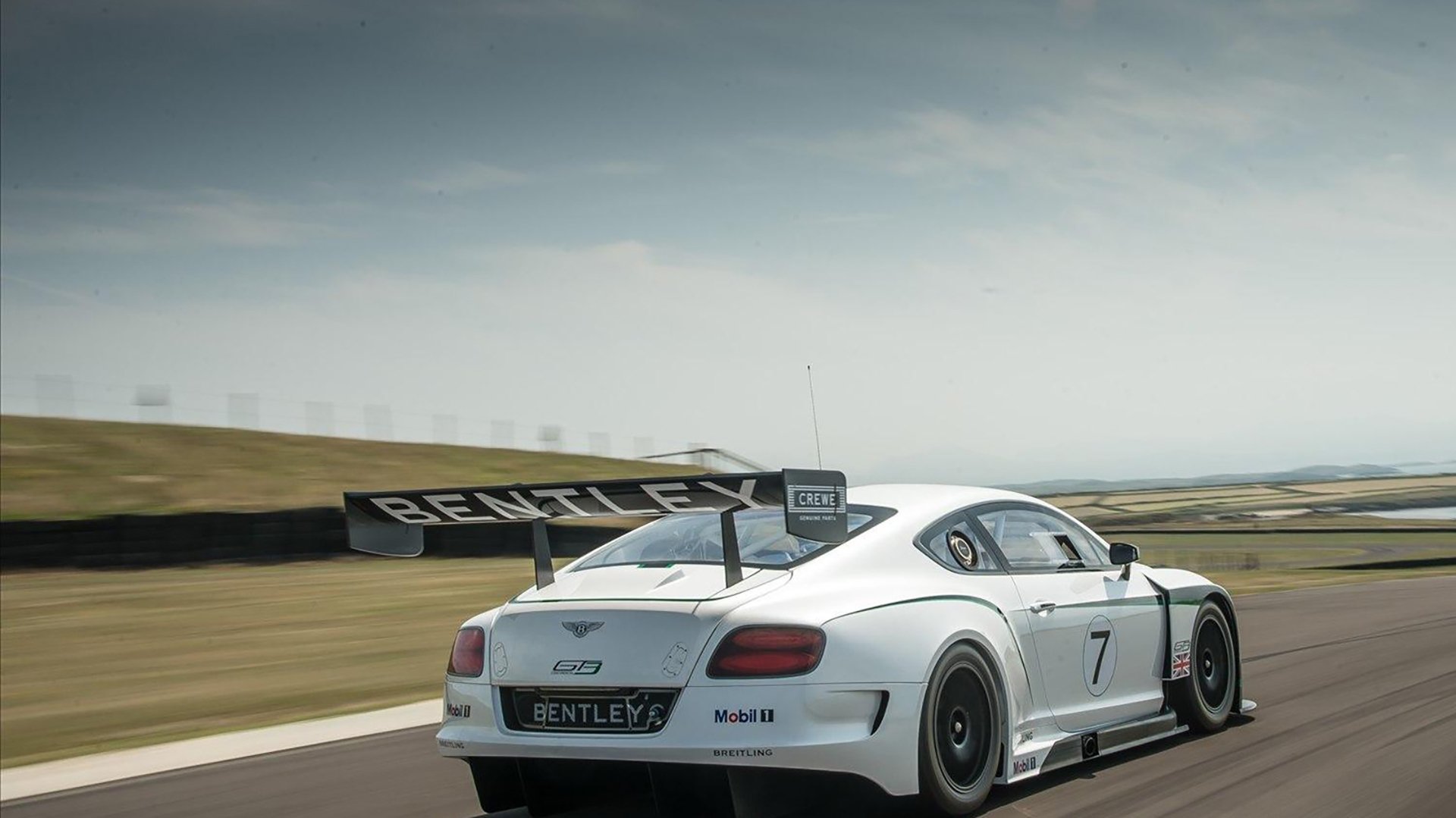 开云网站-_城市骑行马拉松：绿色出行引领新风尚_，穿骑行服跑马拉松