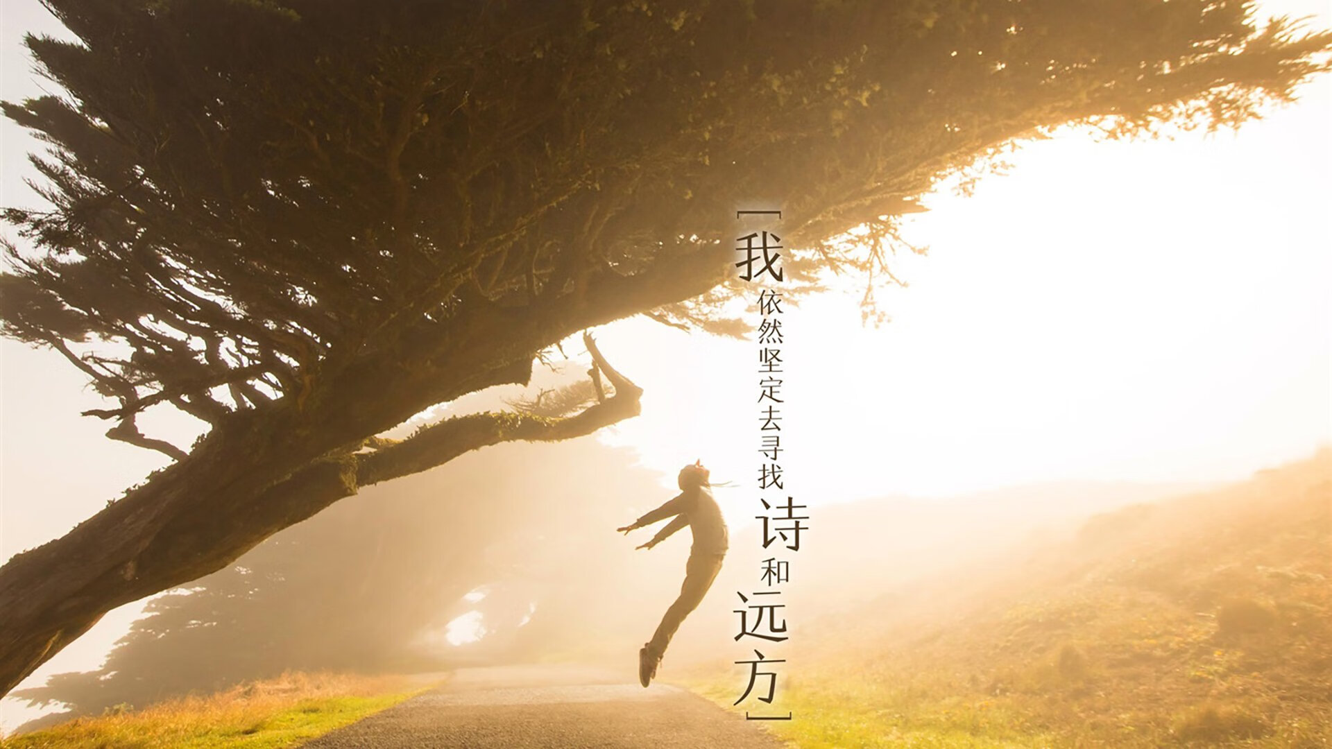 _魔术逆境中奋起，迎来价值胜利_，魔术cull