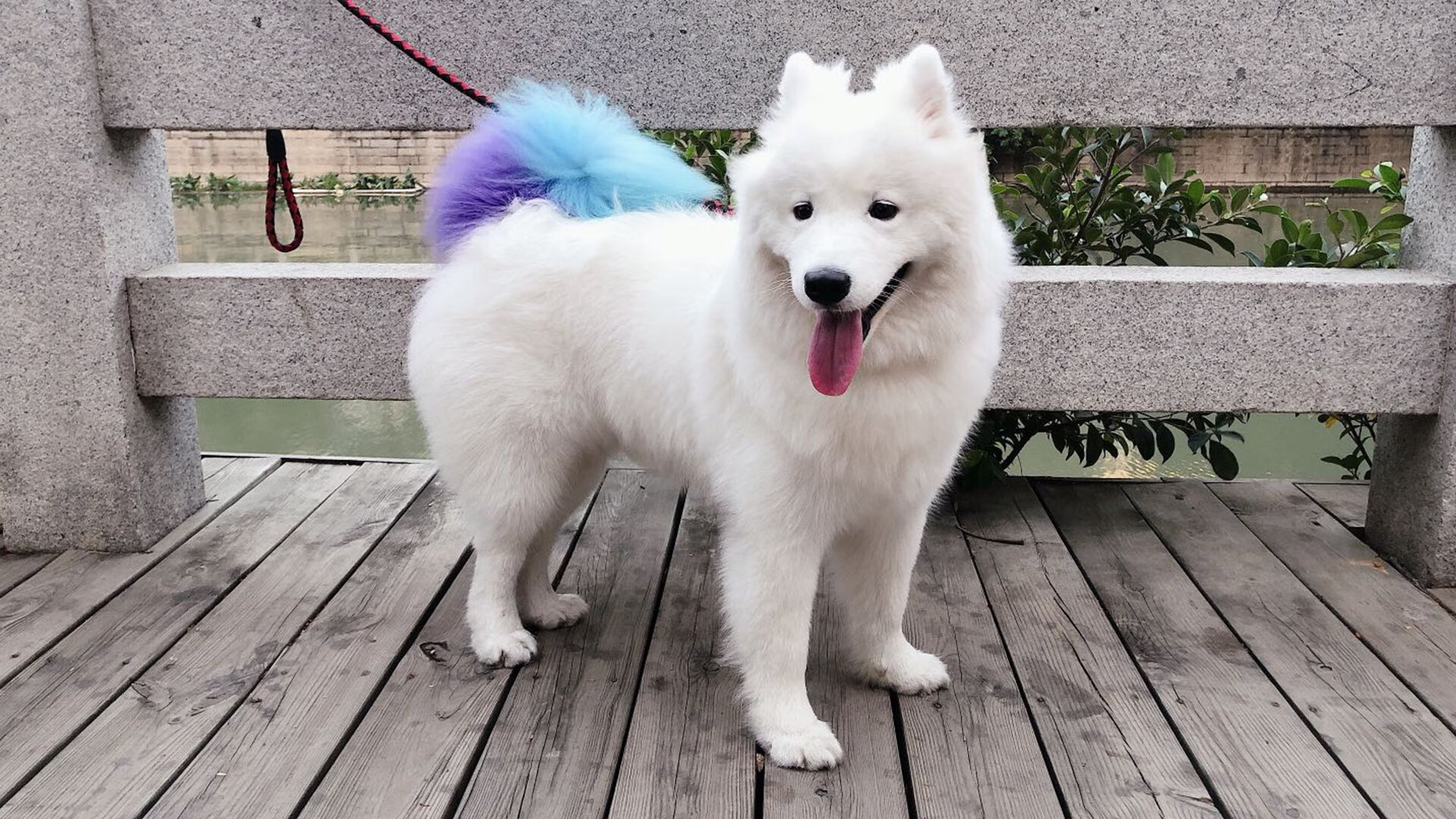 史上最震撼的单圈纪录，单圈最好成绩