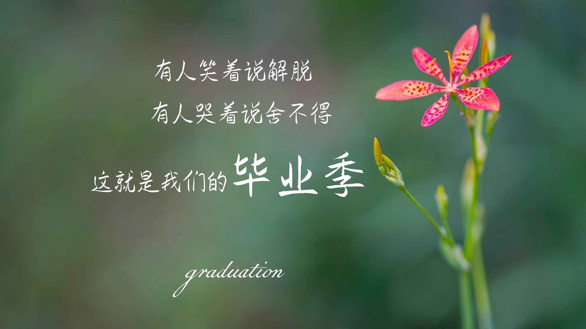 威廉姆斯在柔道比赛中展现出顽强拼搏精神，l.威廉姆斯