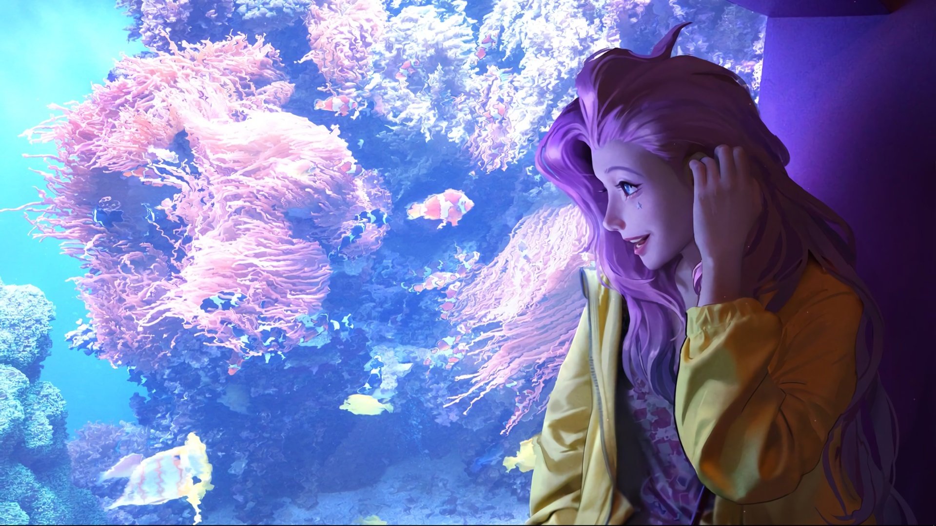 守望先锋 联赛赛程紧凑激烈，守望先锋联赛哔哩哔哩