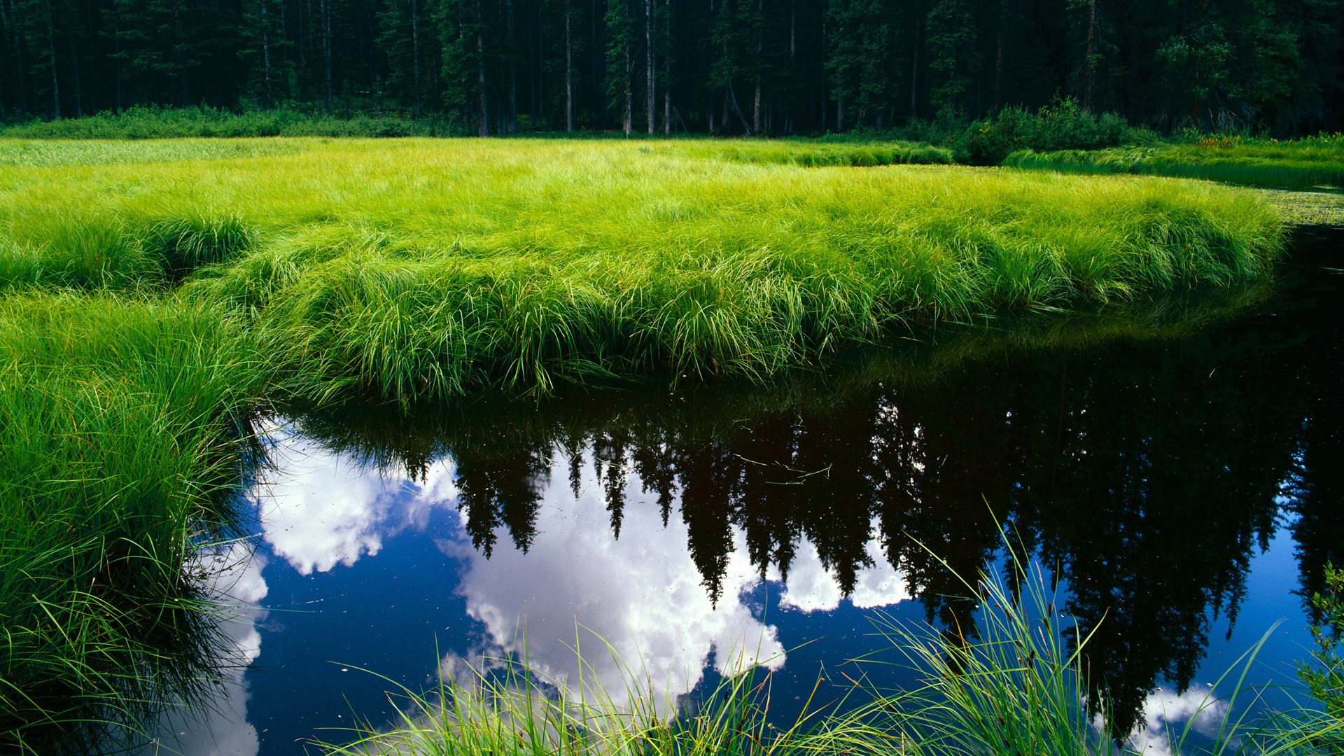 kaiyun中国官方网站-泡沫车轮：减重且耐用的新科技，泡沫车是什么