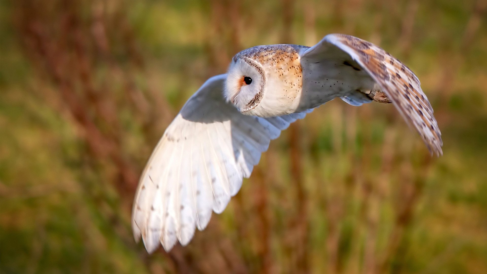裁判判伊朗球员越位，他说“我滑出去的！”，伊朗踢中国把球停在球门口