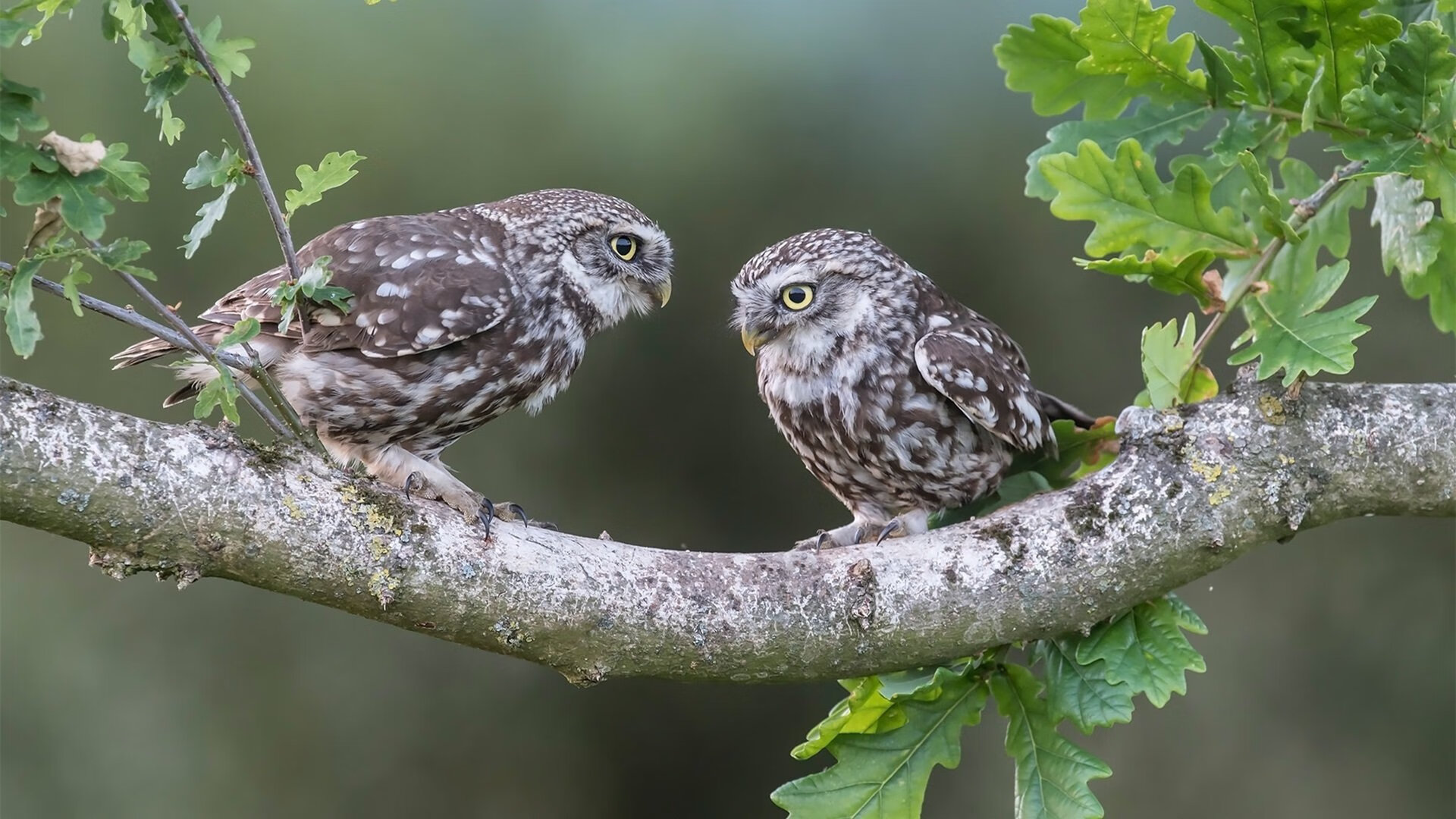 kaiyun体育app-逆境中的奇迹：那些在绝境中逆转的经典比赛，逆境中的奇迹_那些在绝境中逆转的经典比赛是什么
