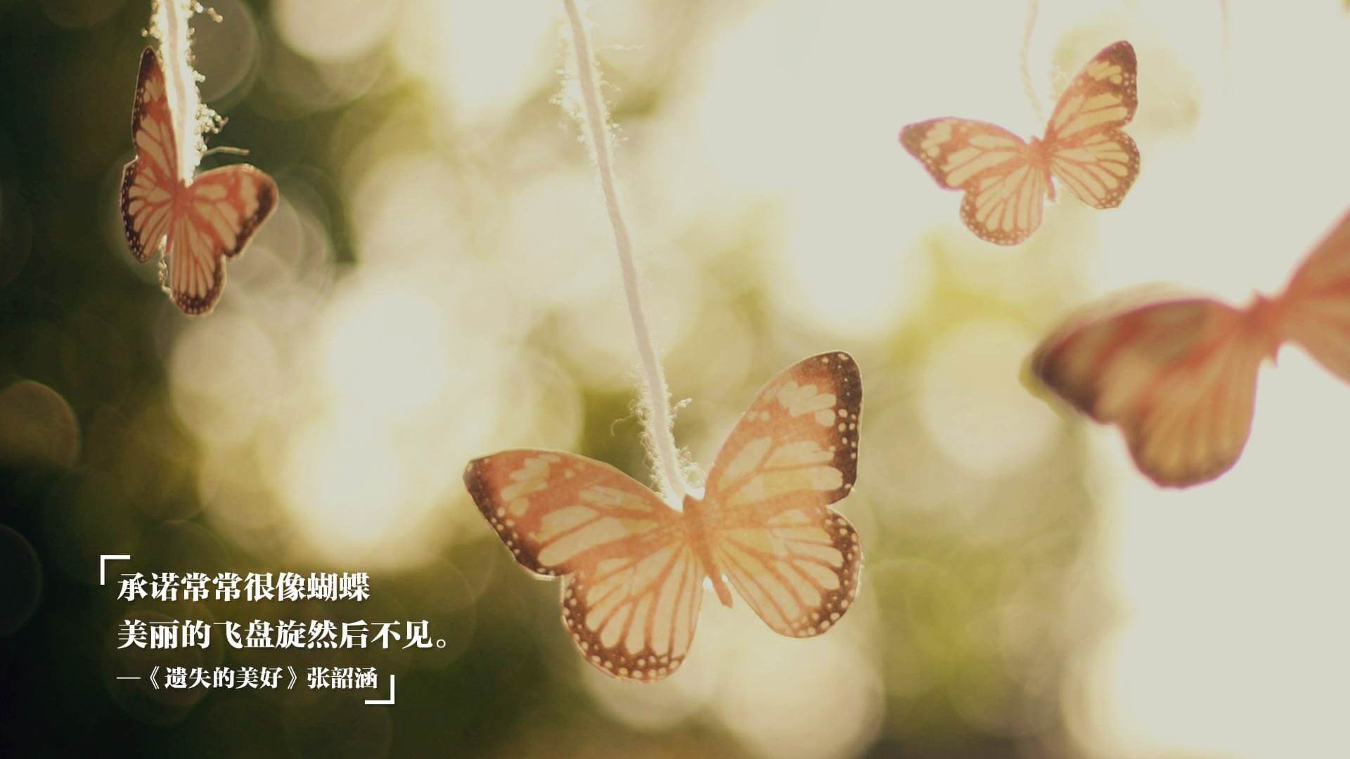 开云网站-AC米兰逼平维罗纳，暂时止住颓势，ac米兰对维罗纳视频比赛直播