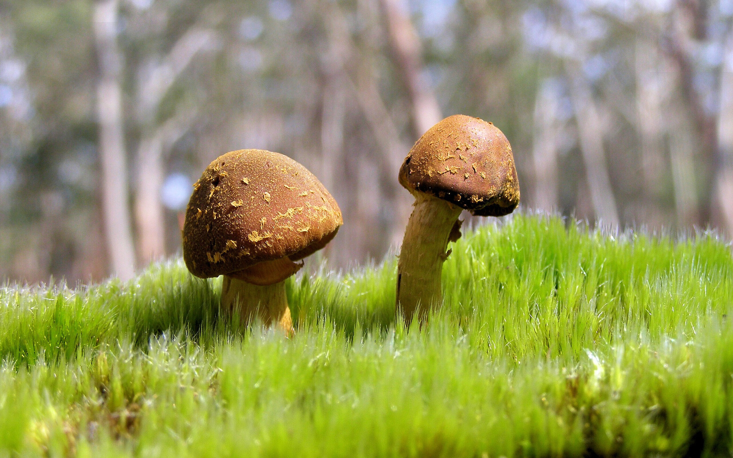 EDG完善日常训练监控与反馈机制