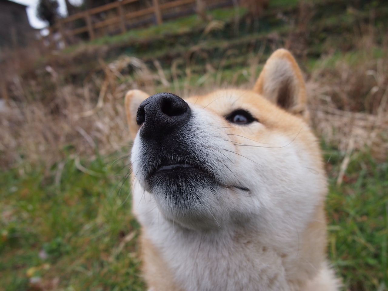 Kaiyun APP-世界羽联排名更新，国羽男双重回世界前三，国际羽联世界羽联