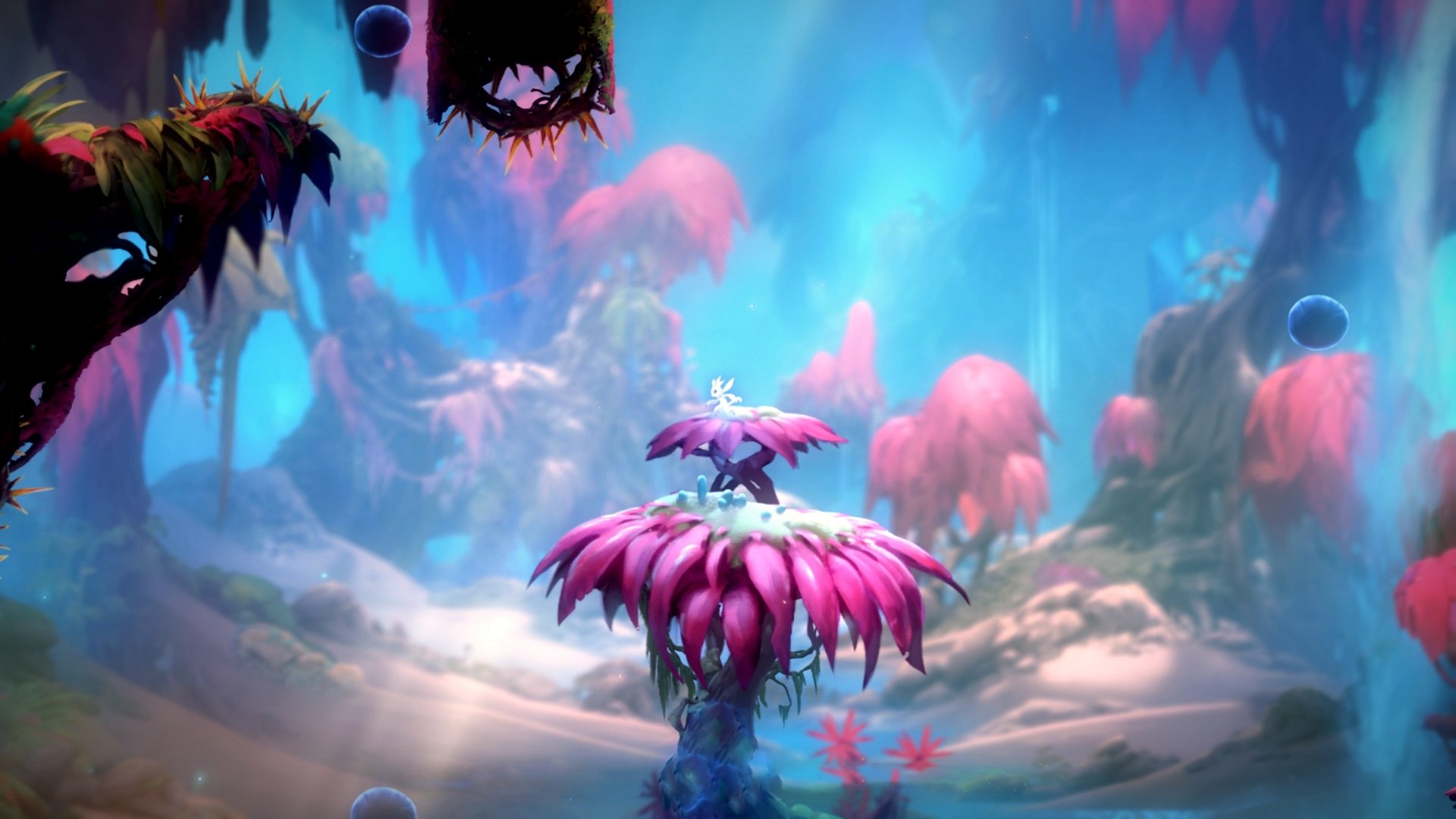 哥伦比亚队在巴黎奥运会比赛中展现出高效的传球配合，哥伦比亚传奇球员