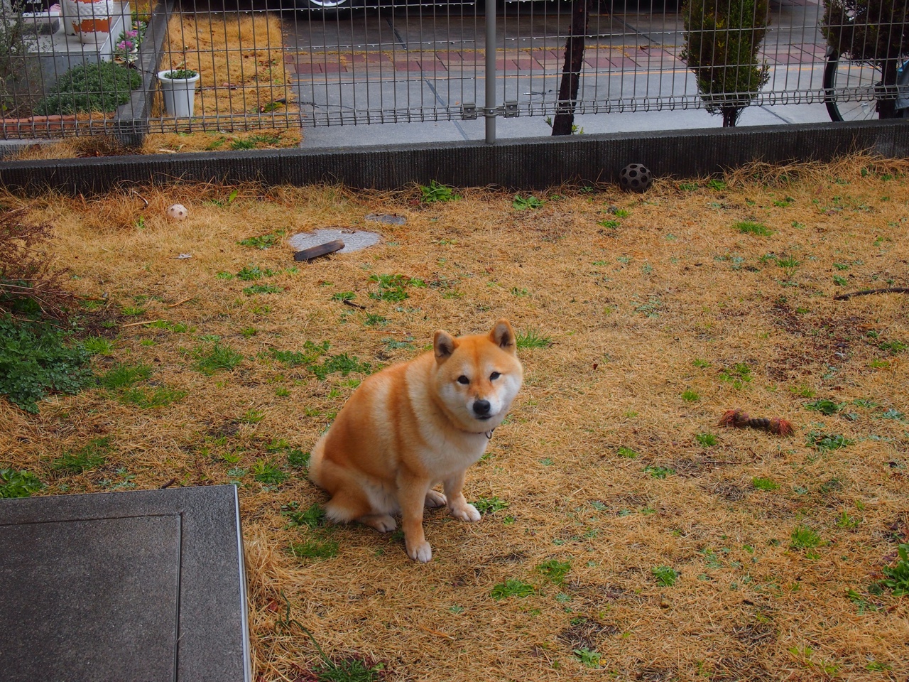 KAIYUN 中国大陆-国家队比赛地点选择是否应考虑主场氛围最优化，国家队比赛门票怎么购买