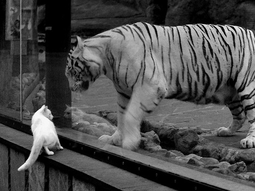 波兰险胜苏格兰,晋级淘汰赛资格在望,波兰落选赛