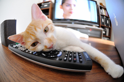 电竞游戏社区治理与玩家行为规范制定,电竞社管理制度