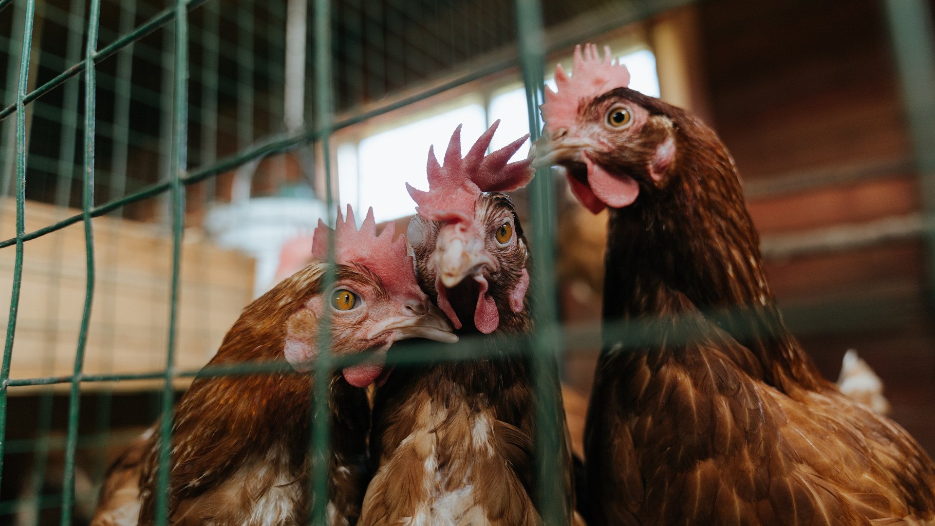 KAIYUN 中国大陆-精彩一触即发，看谁能脱颖而出！，精彩一幕