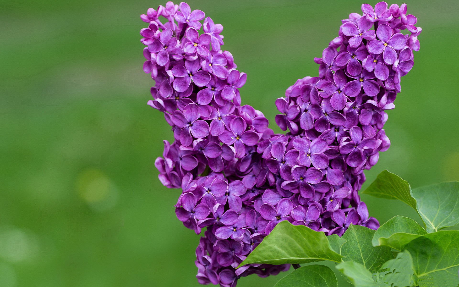 kaiyun官方网站-首尔SK骑士防守端抢断次数增加，韩国sk骑士队什么水平