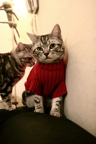 世界杯影响下：五大联赛的战术调整，世界杯战术分析