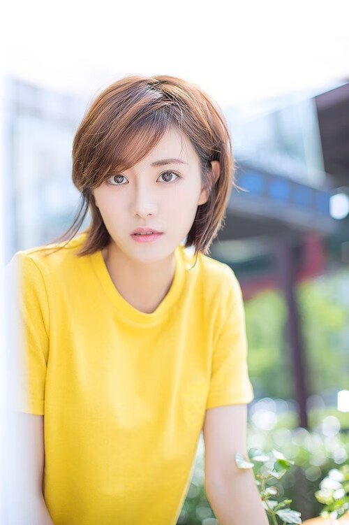 中国篮球职业联赛经济效益及可持续发展研究，国内篮球职业联赛