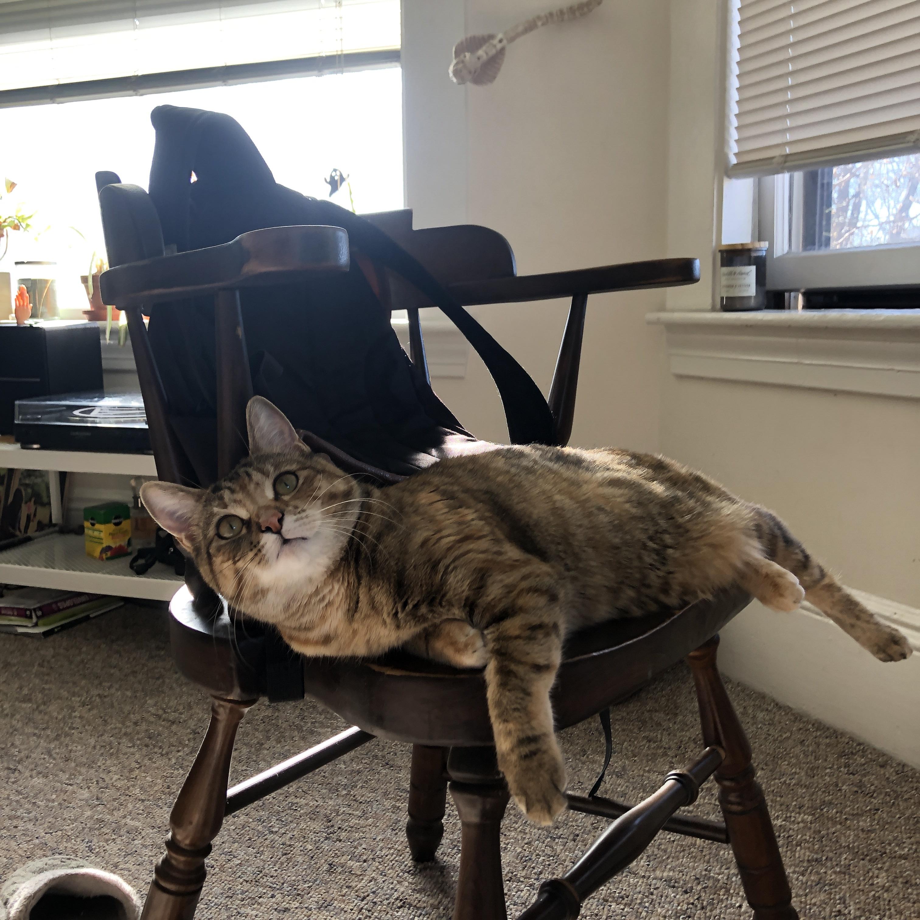 开云官方网站-后疫情足球：运动员健康新管理策略，足球运动员常见疾病