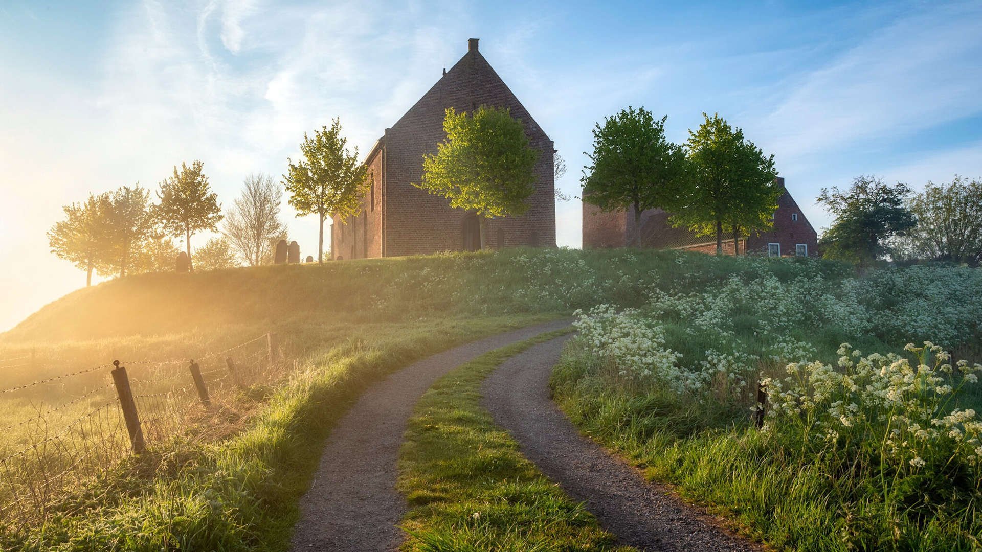 后疫情足球:运动员健康新管理策略,足球运动员常见疾病