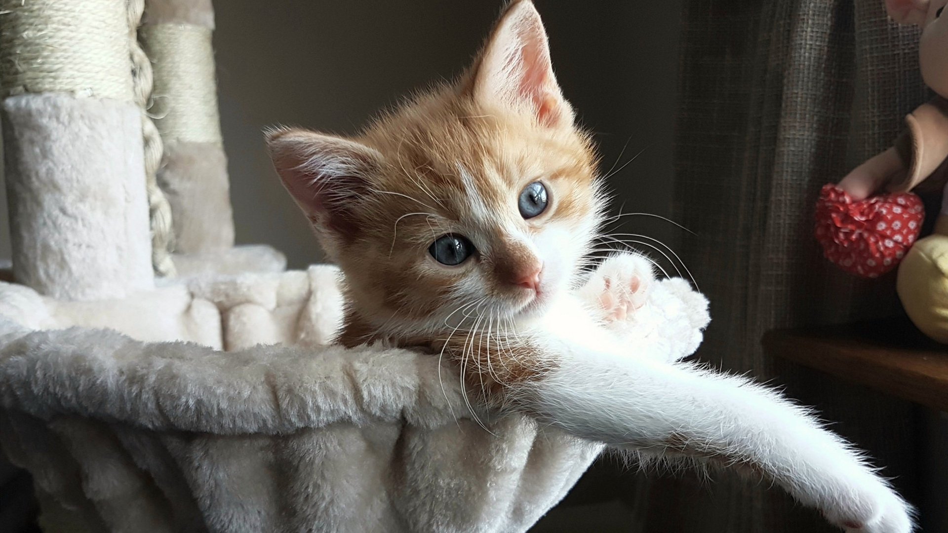 篮球专项训练课程开发及教学创新实践,篮球教学课题