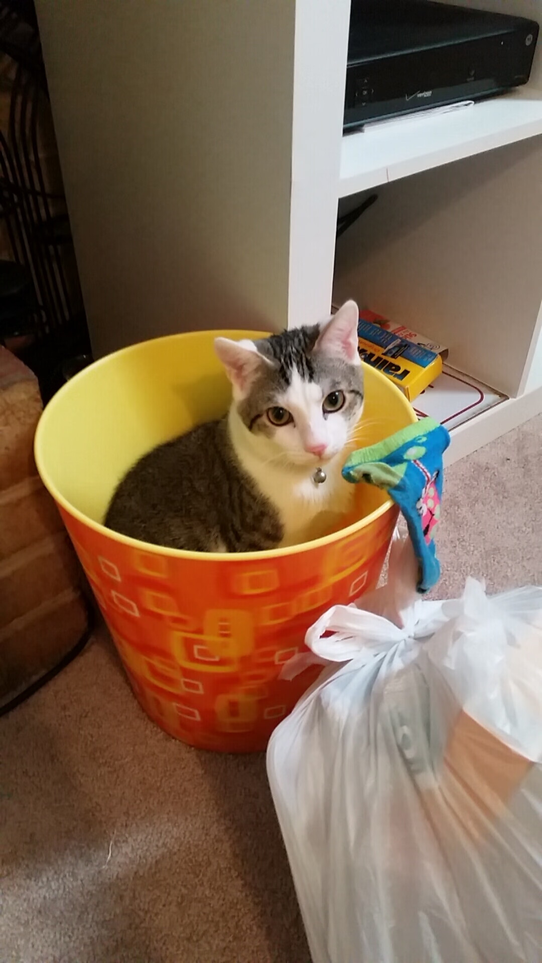 运动装备技术应用推广计划,运动装备论文