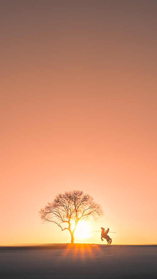 中国香港队赛制创新：如何借助新规则迎接世界大赛的挑战，香港队入场