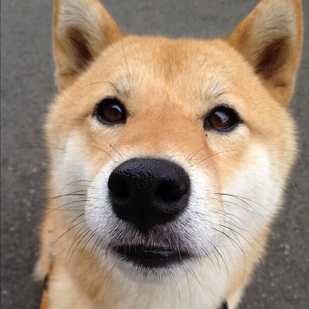 开云官方-俱乐部与球迷关系互动形式单一