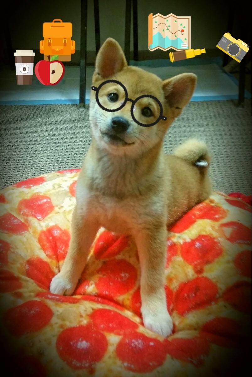 kaiyun中国官方网站-布莱顿快速轮转提升比赛节奏感，布莱顿阵型