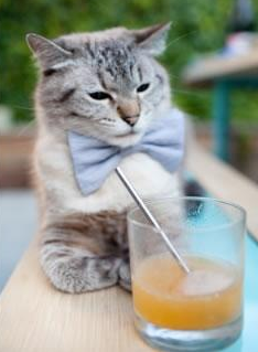 青训教练专业能力有待提升，青训教练培训