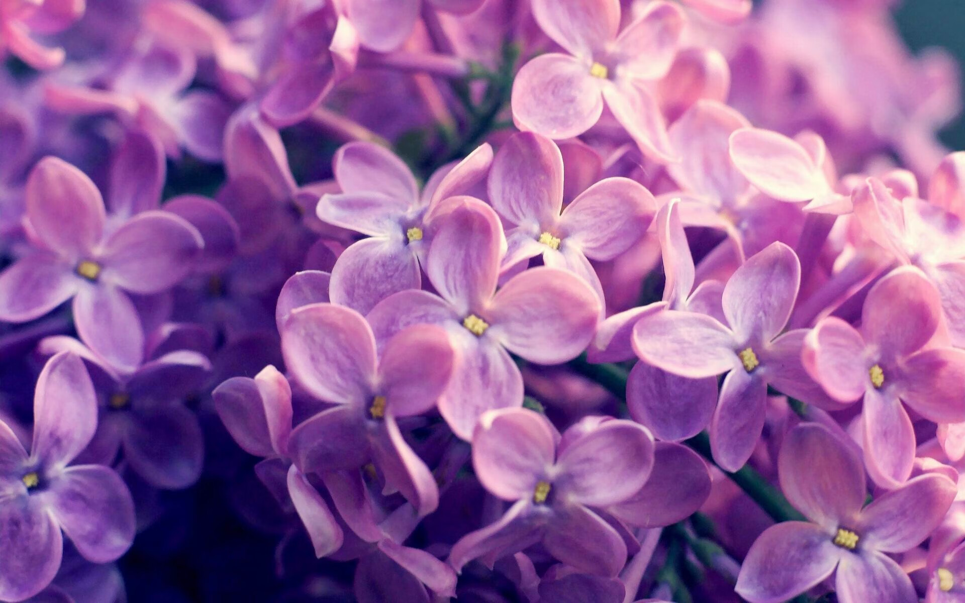 CBA完善裁判培训体系确保执法公平公正,cba裁判员培训班