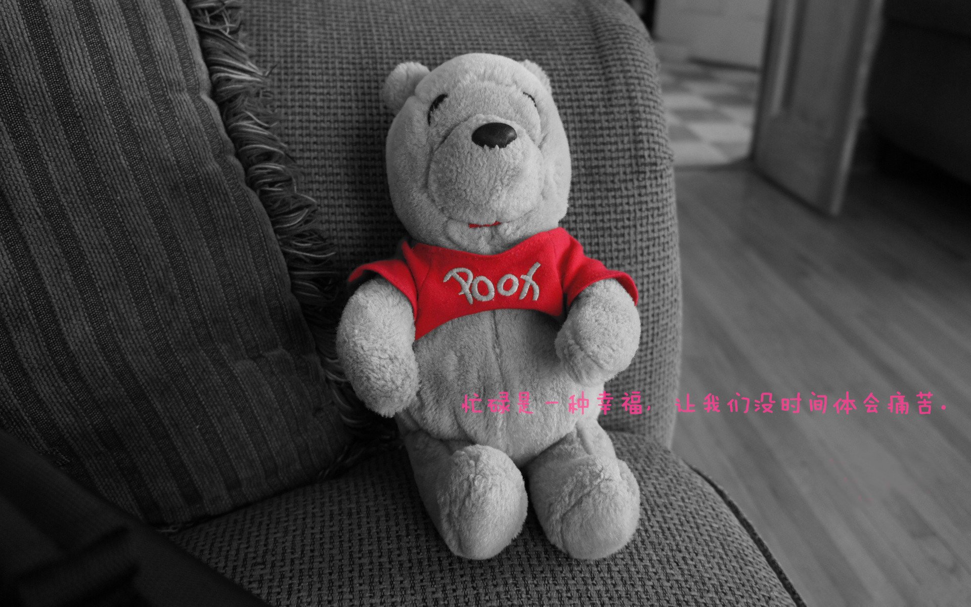 开云·体育官网-西甲绝佳爆射：精彩得分瞬间令人震撼！，西甲精选