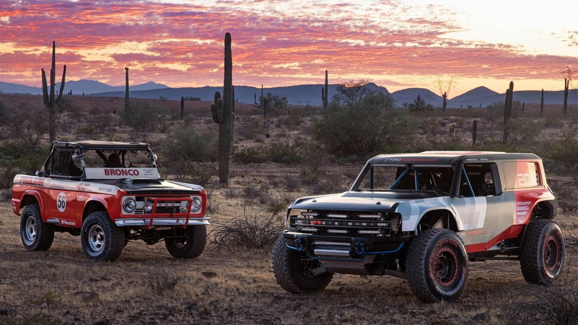 陈佳决赛强势逆转夺冠，陈佳陈佳